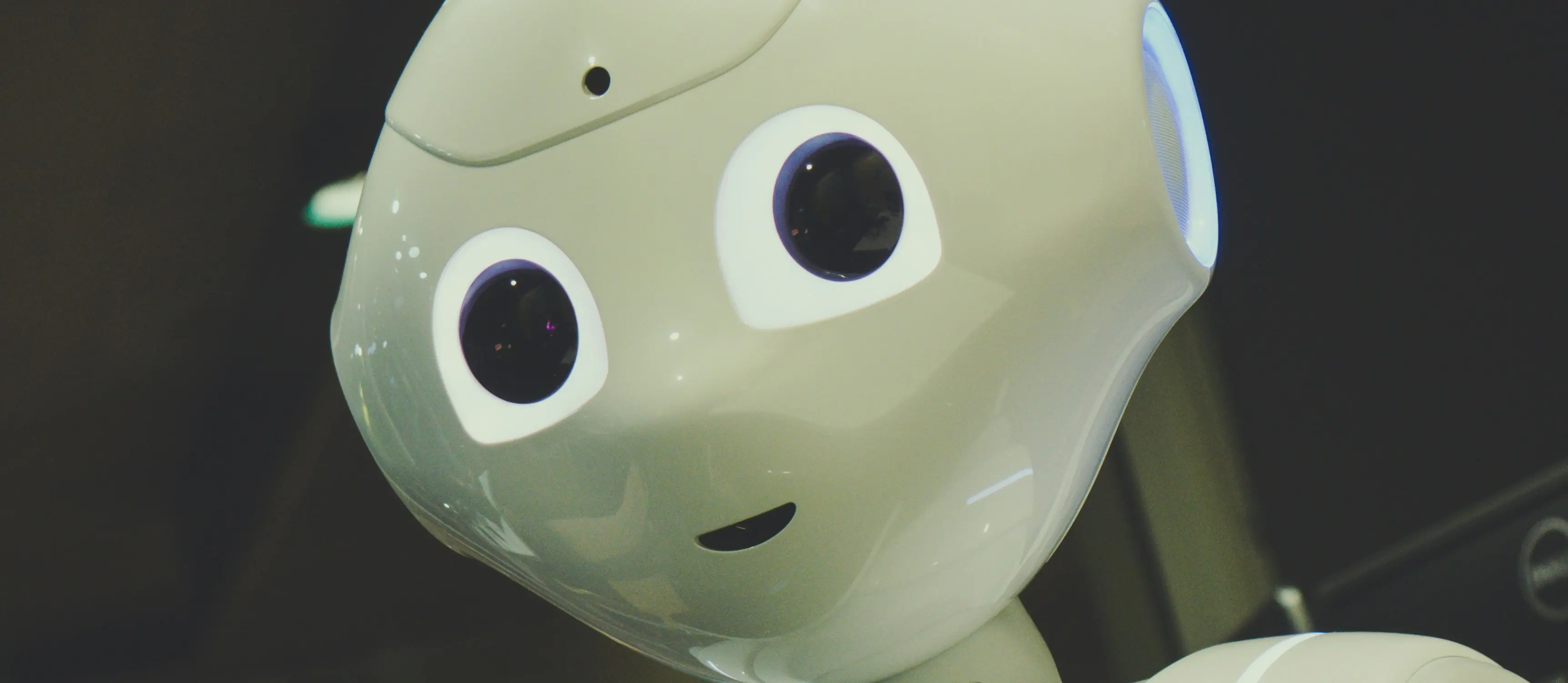 Il partner strategico per il futuro sostenibile dell’impresa